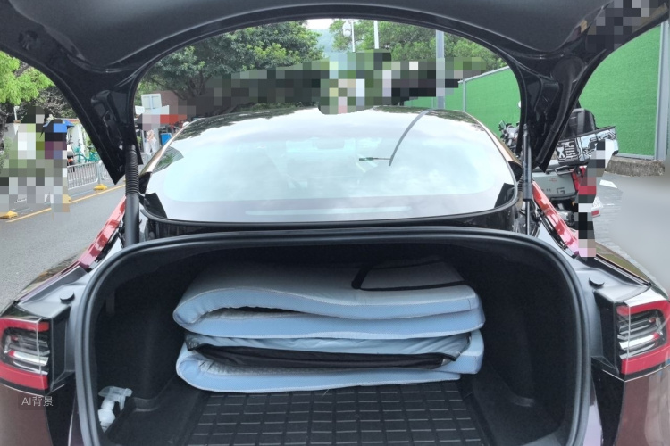 Tesla Model 3 2021 #21 Tesla Model 3 2021 car image #21