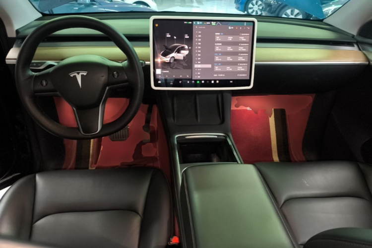 Tesla Model Y 2022 #10 Tesla Model Y 2022 car image #10