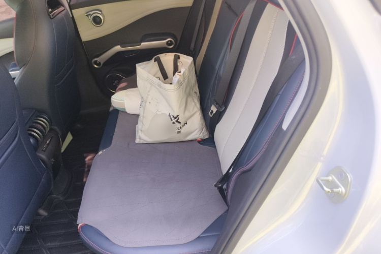 BYD Yuan Plus 2022 car image #19