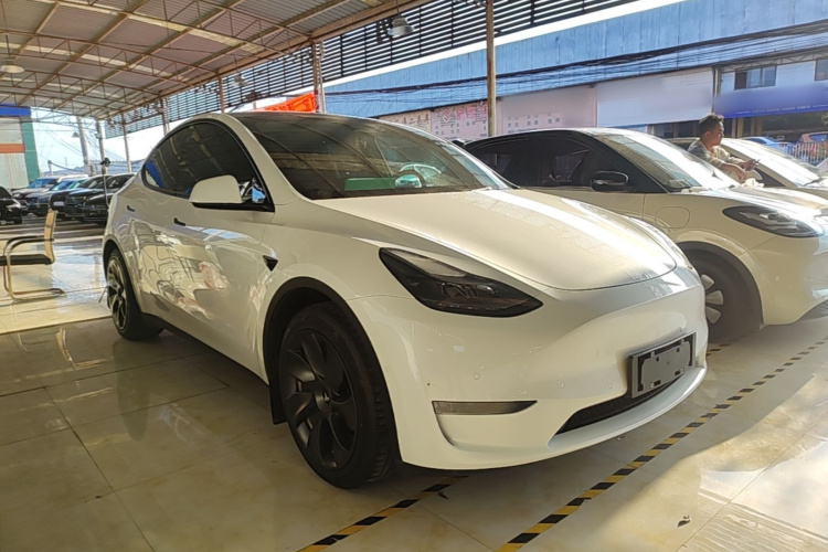 Tesla Model Y 2021 car image #4