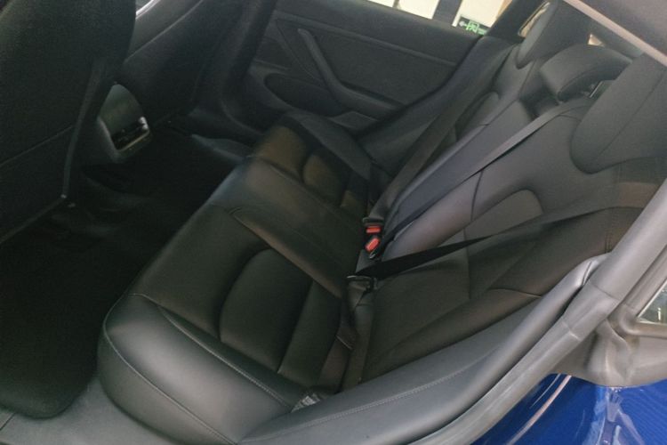 Tesla Model 3 2020 #17 Tesla Model 3 2020 car image #17