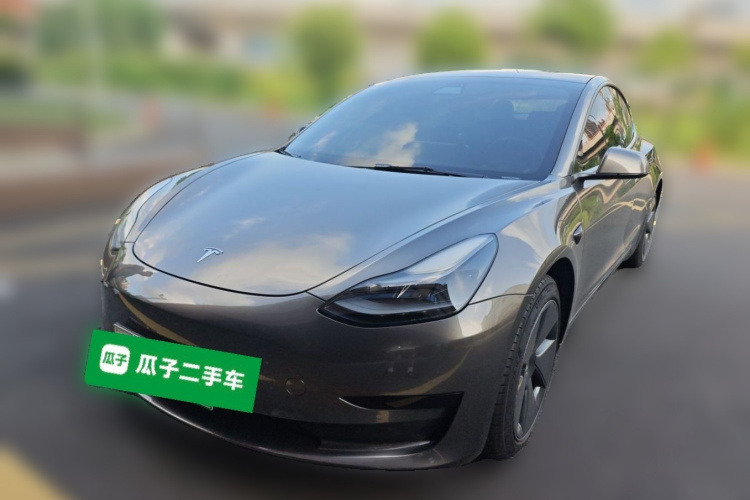 Tesla Model 3 2021 #2 Tesla Model 3 2021 car image #2