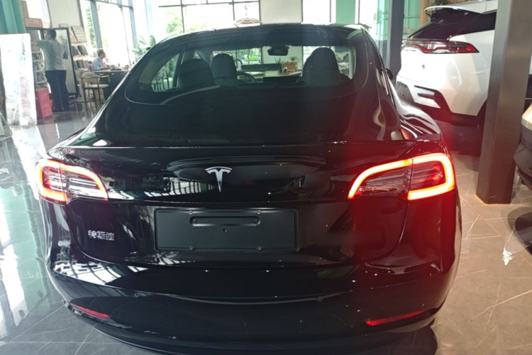 Tesla Model 3 2023 car image #6