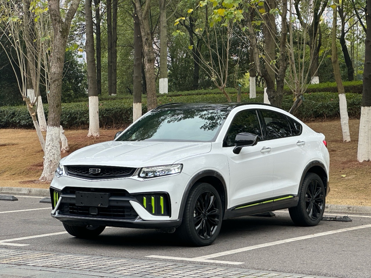 GEELY Tugella S 2021 imagem de carro 