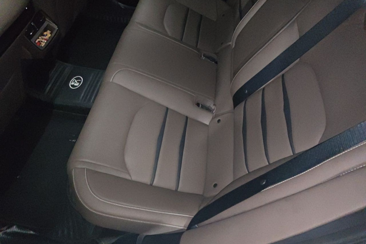 BYD Han 2021 immagine di auto #14