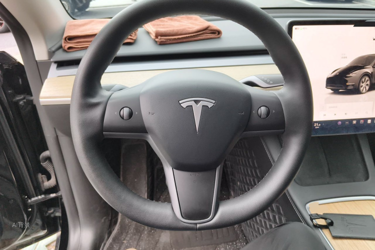 Tesla Model Y 2023 car image #12