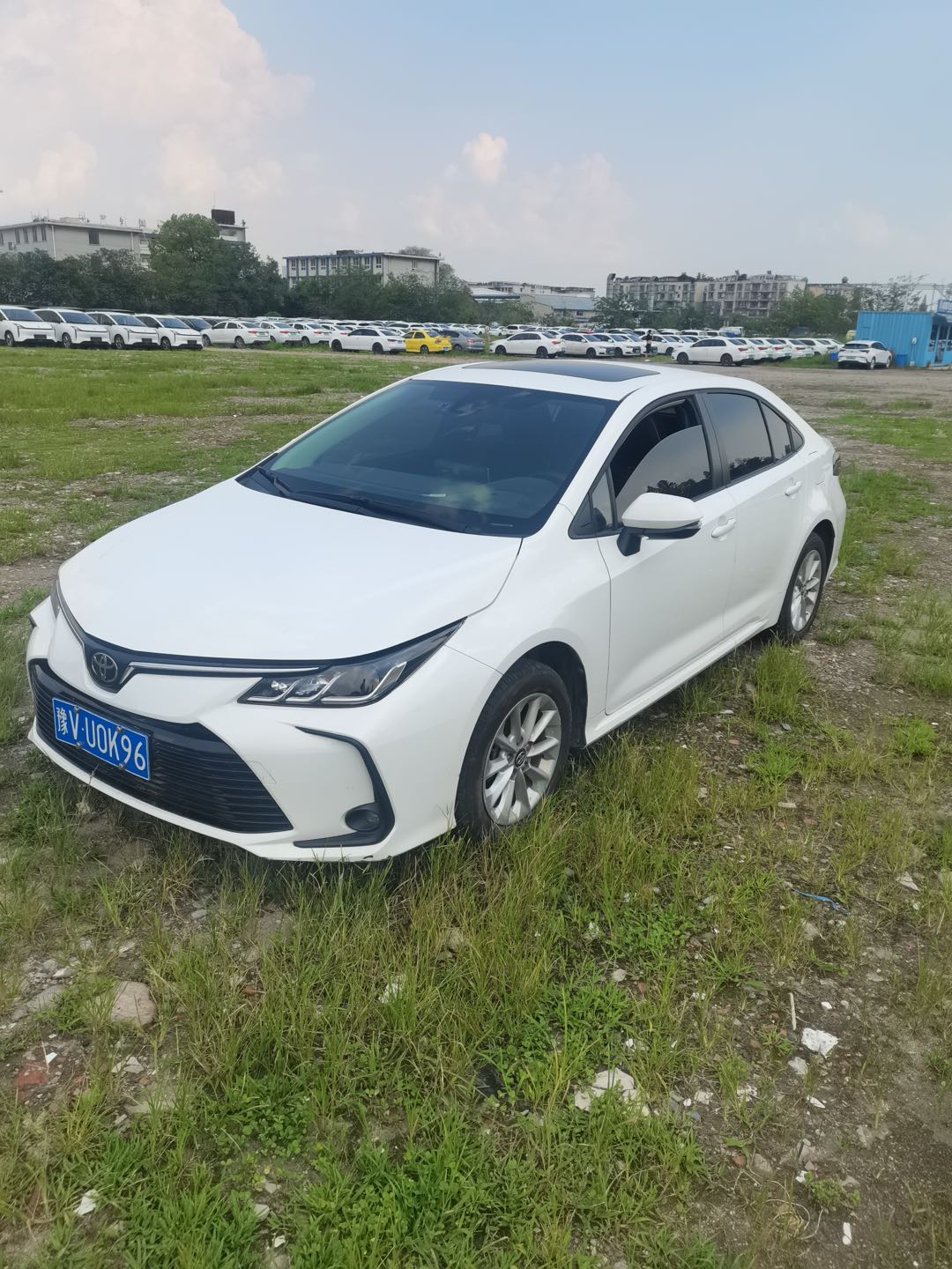 Toyota Corolla 2022 car image #2