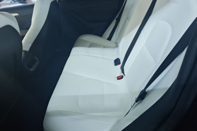 Tesla Model 3 2022 imagem de carro #17