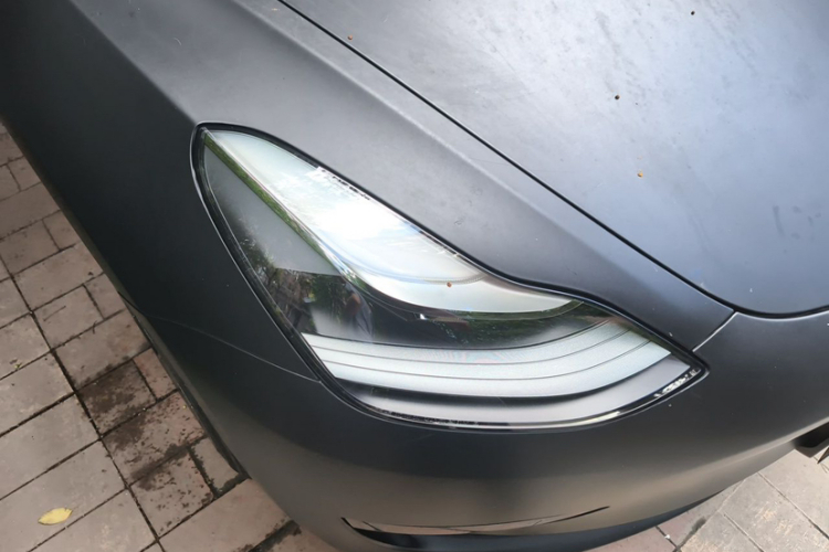 Tesla Model 3 2021 #5 Tesla Model 3 2021 car image #5