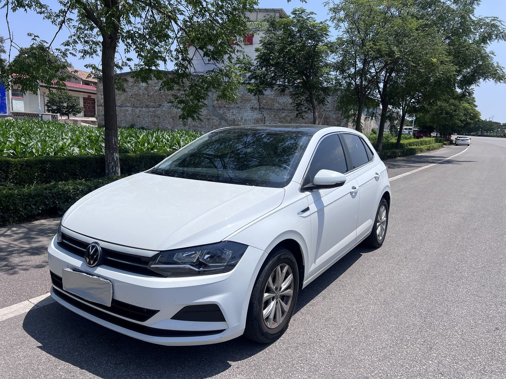 Volkswagen Polo 2023 Volkswagen Polo 2023 car image