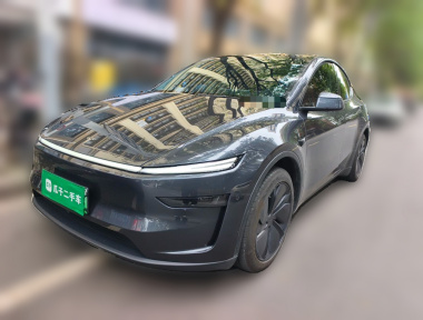 Tesla Model Y 2025 Tesla Model Y 2025 car image