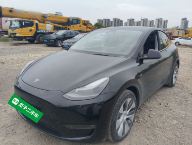 Tesla Model Y 2021 Tesla Model Y 2021 car image