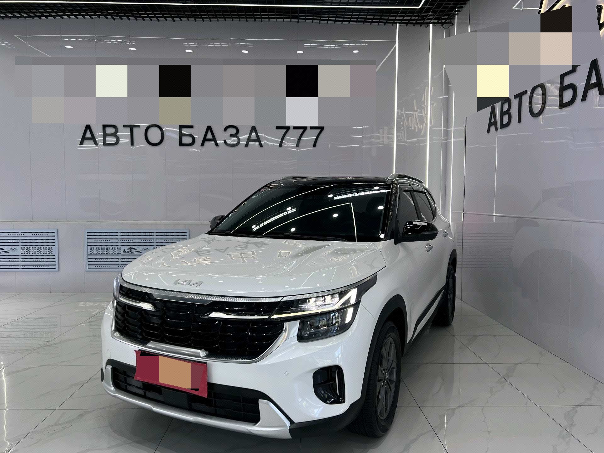 Kia Seltos 2024 car image 
