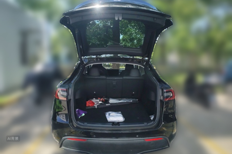 Tesla Model Y 2021 #21 Tesla Model Y 2021 car image #21