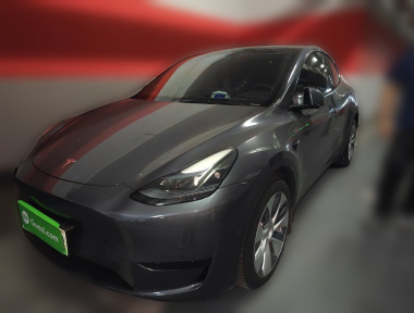 Tesla Model Y 2022 Tesla Model Y 2022 car image