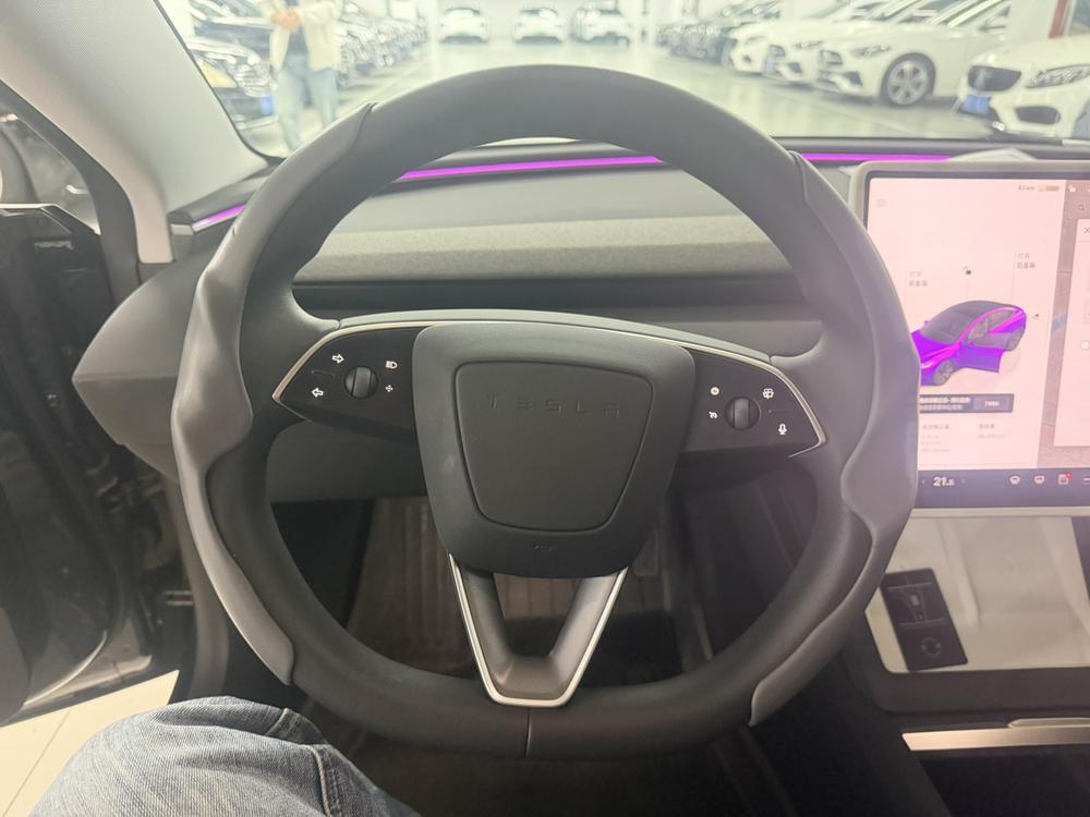 Tesla Model 3 2025 immagine di auto #11