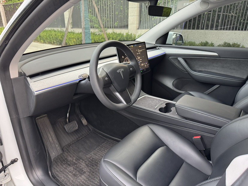 Tesla Model Y 2024 car image #6