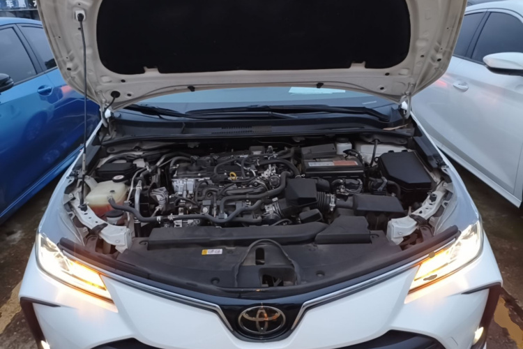 Toyota Corolla 2021 #20 Toyota Corolla 2021 car image #20