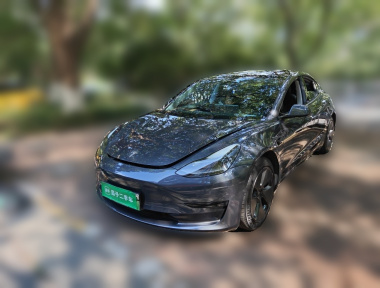 Tesla Model 3 2021 Tesla Model 3 2021 immagine di auto