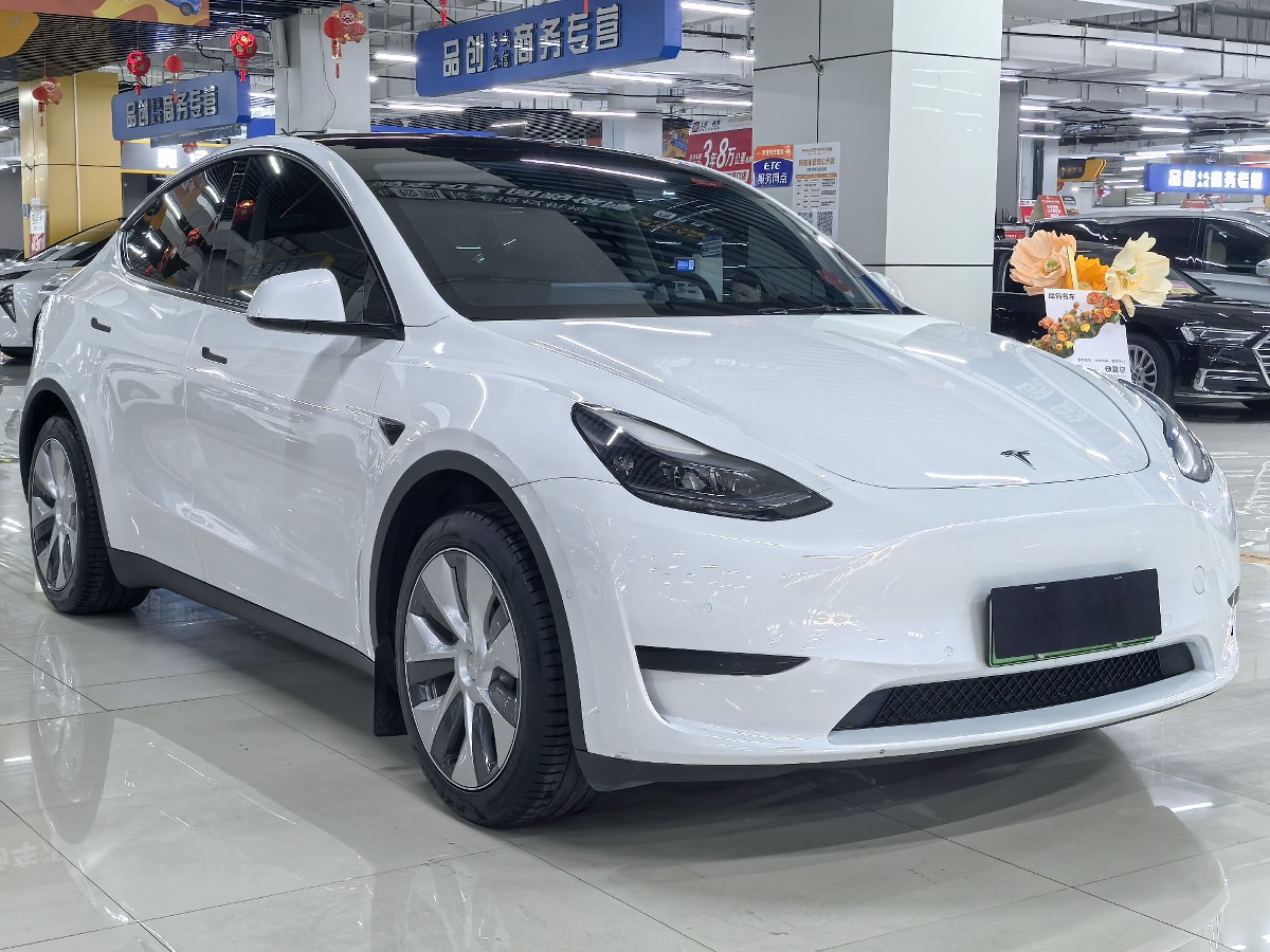 Tesla Model Y 2022 #3 Tesla Model Y 2022 car image #3