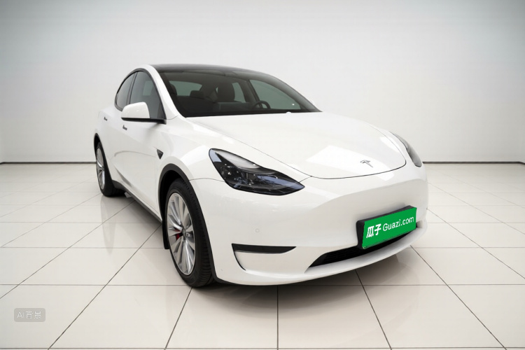 Tesla Model Y 2021 car image #4