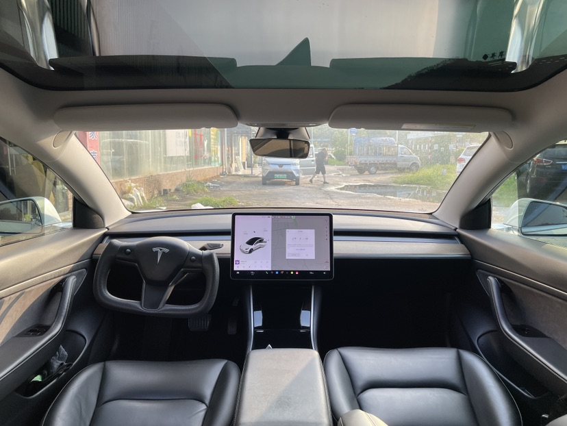 Tesla Model 3 2020 car image #5