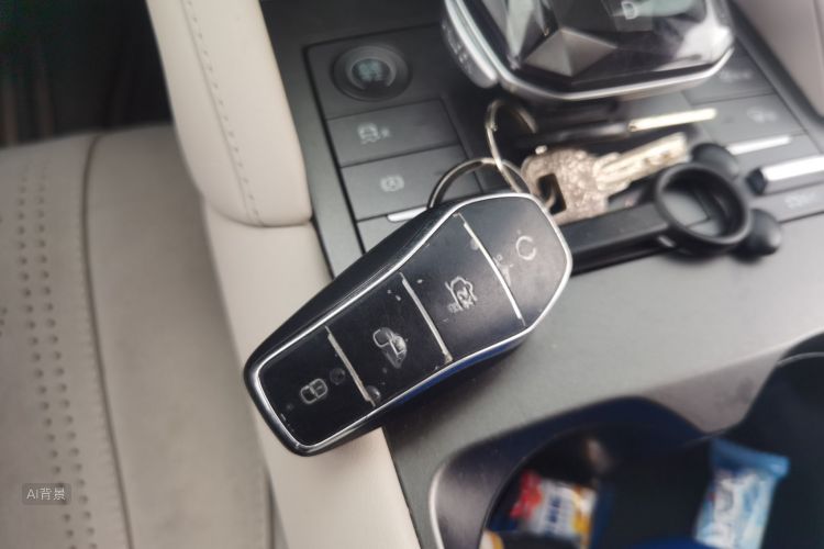 BYD YuanUP 2024 immagine di auto #10