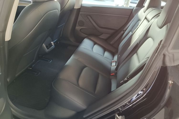 Tesla Model 3 2021 car image #17