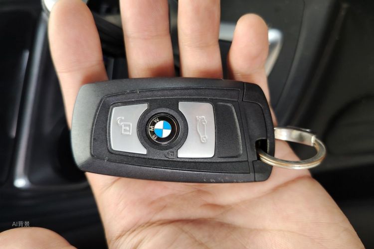 BMW 3 Series 2015 car image #10