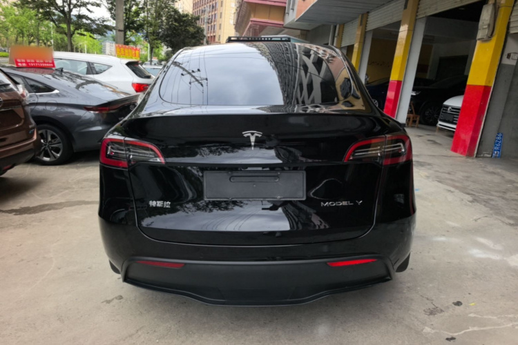 Tesla Model Y 2021 car image #6