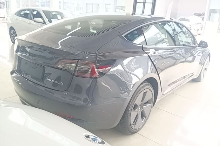 Tesla Model 3 2022 #7 Tesla Model 3 2022 car image #7