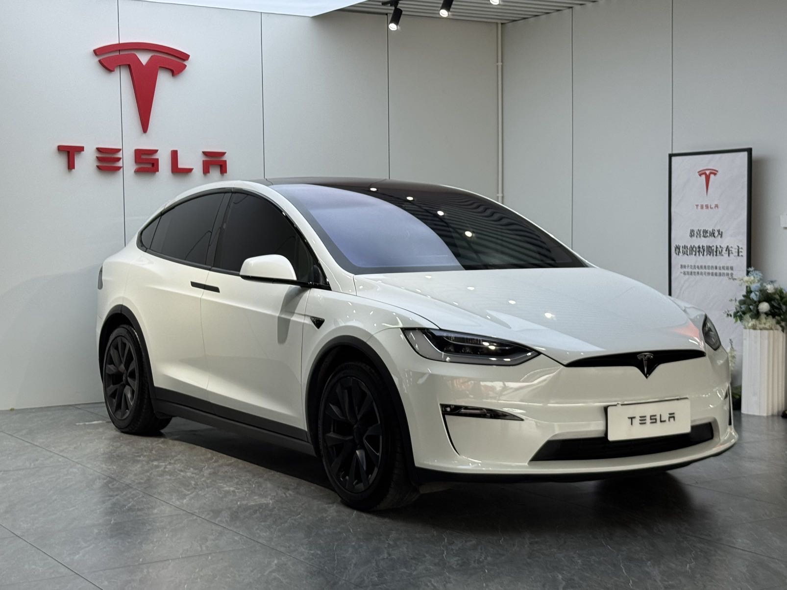 Tesla Model X 2023 car image #8