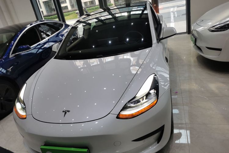 Tesla Model 3 2021 #3 Tesla Model 3 2021 car image #3