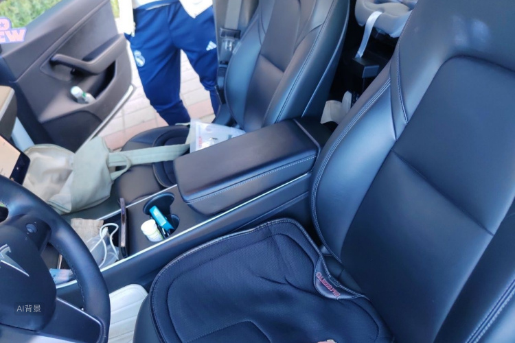 Tesla Model 3 2020 car image #17