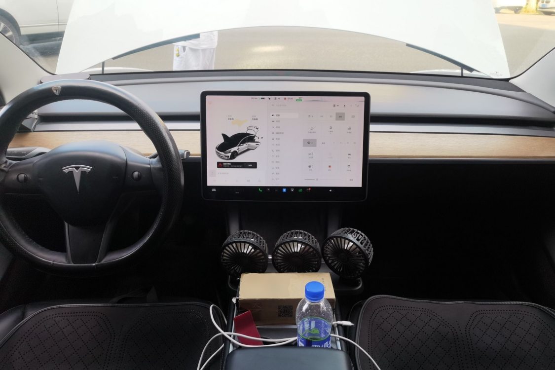 Tesla Model 3 2021 car image #21