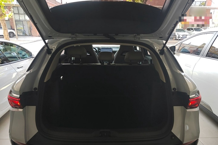 BYD Yuan Plus 2023 car image #22