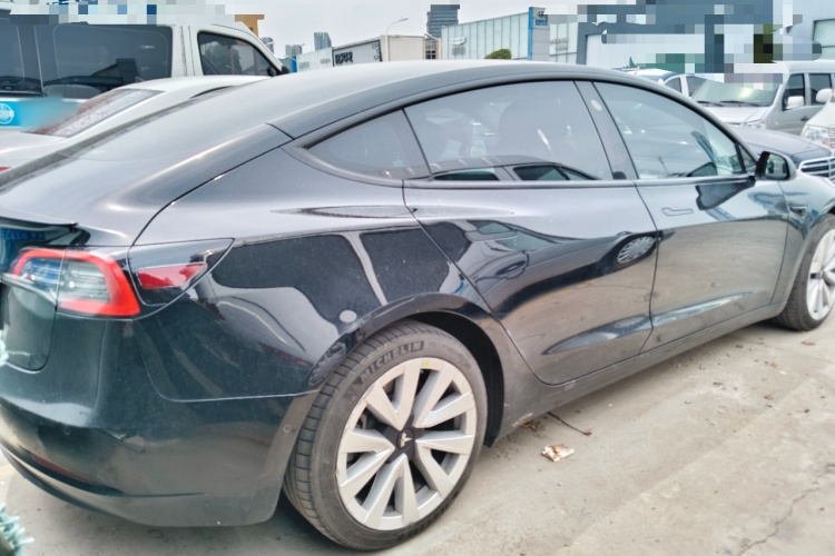 Tesla Model 3 2021 #5 Tesla Model 3 2021 car image #5