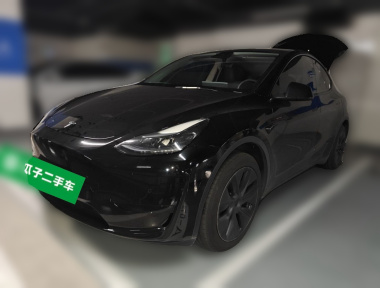 Tesla Model Y 2023 car image 