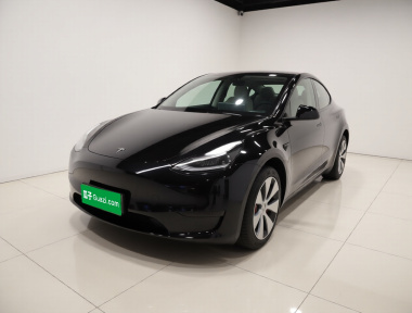 Tesla Model Y 2022 Tesla Model Y 2022 car image