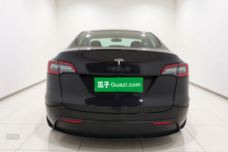 Tesla Model Y 2024 car image #6