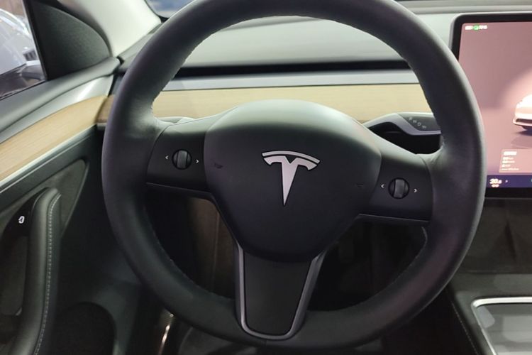 Tesla Model Y 2022 car image #11