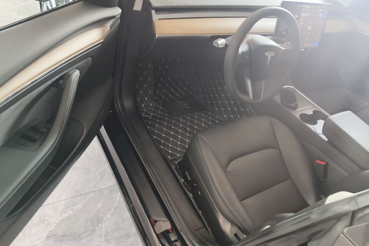 Tesla Model 3 2021 car image #16