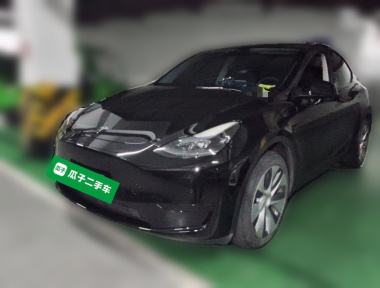 Tesla Model Y 2022 car image 