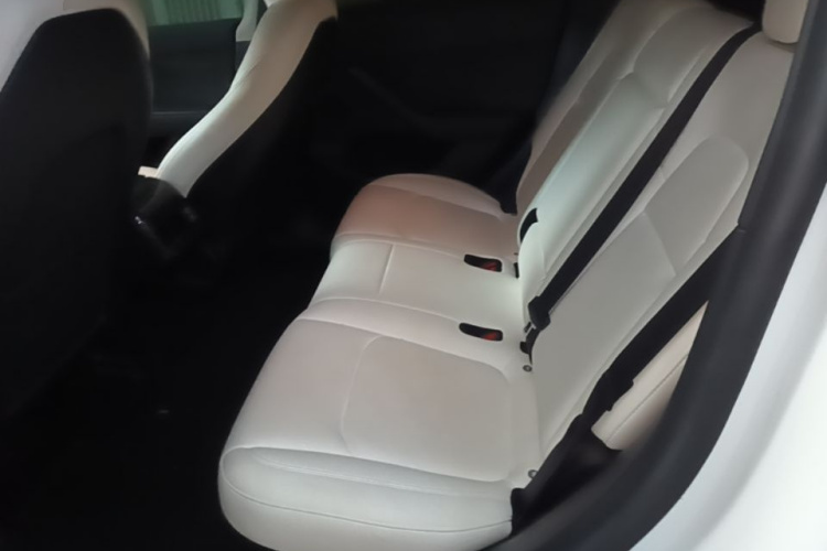 Tesla Model Y 2023 #17 Tesla Model Y 2023 car image #17