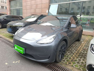 Tesla Model Y 2021 car image 