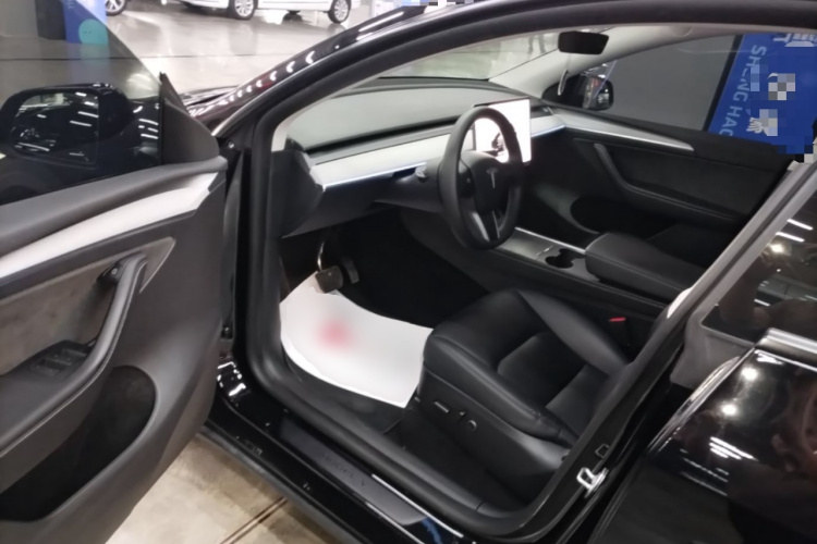 Tesla Model Y 2023 car image #16