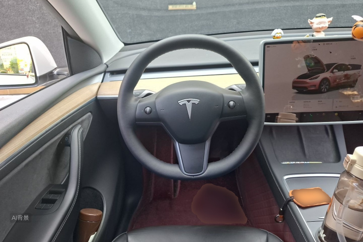 Tesla Model Y 2022 car image #12