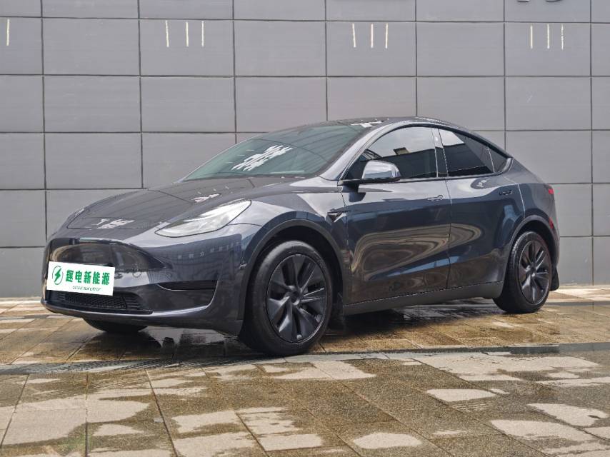 Tesla Model Y 2024 Tesla Model Y 2024 car image