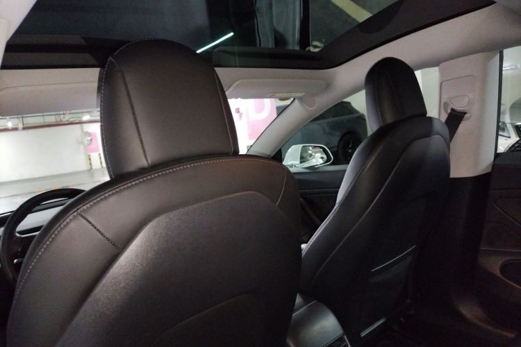 Tesla Model 3 2020 #20 Tesla Model 3 2020 صورة سيارة #20