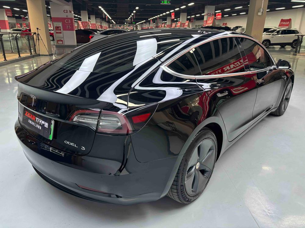 Tesla Model 3 2020 immagine di auto #7